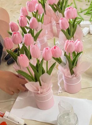 hoa len tulip